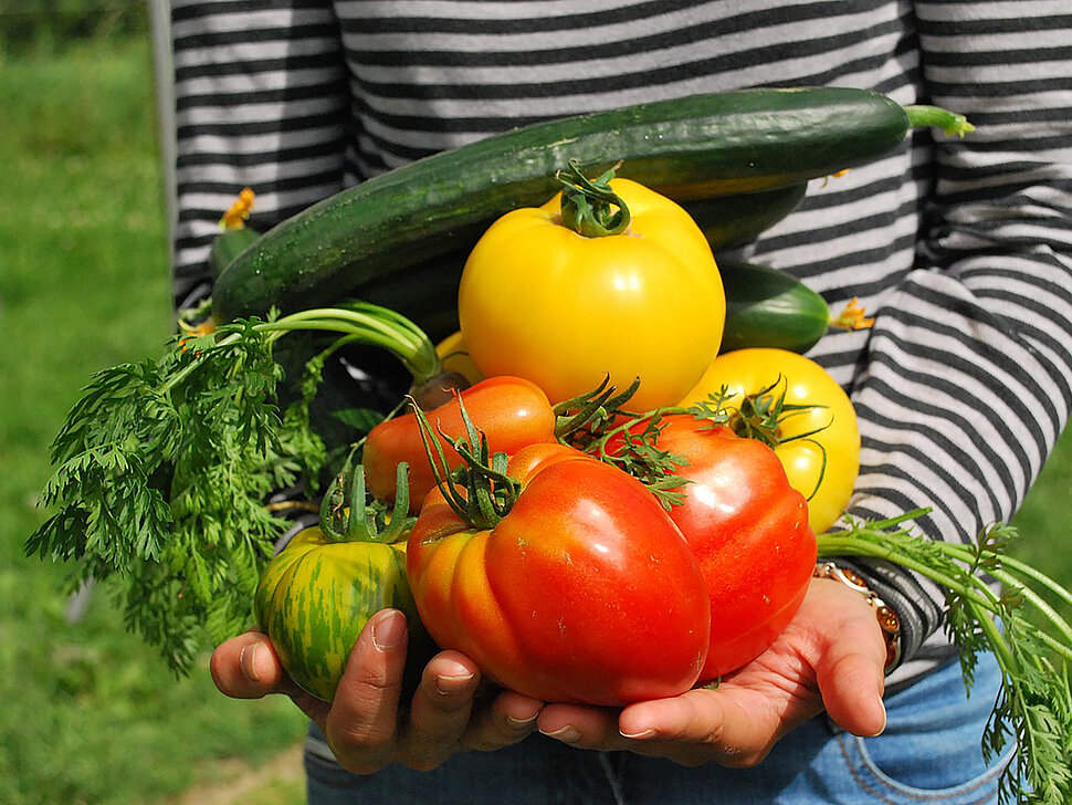 Das Foto zeigt eine Frau,  die Tomaten und eine Gurke auf den Armen trägt..