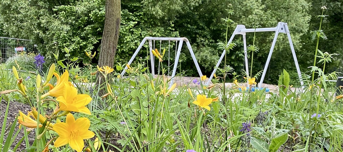 Im Vordergrund gelbe Blumen, im Hintergrund zwei Schaukeln