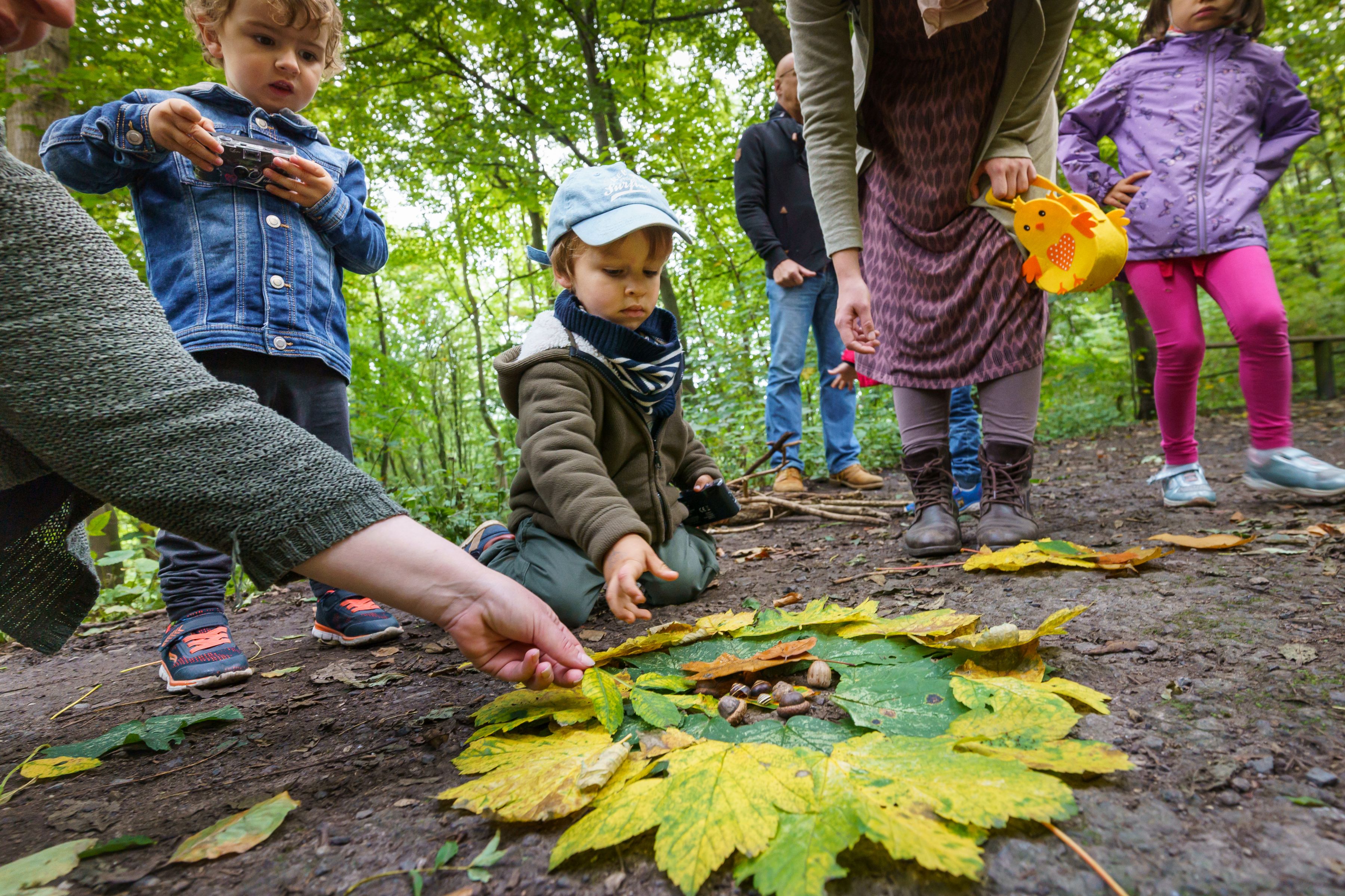 Kinder und Eltern legen Kunstwerke aus Blättern verschiedener Farben.